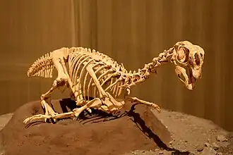 alternativní popis obrázku chybí