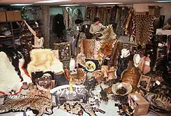 Místnost na letišti JFK je plná částí zvířat, především kůží, z nichž některé jsou levhartí.