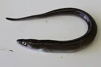 alternativní popis obrázku chybí