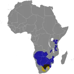 Areál rozšíření