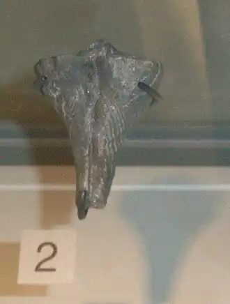 alternativní popis obrázku chybí