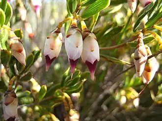 alternativní popis obrázku chybí