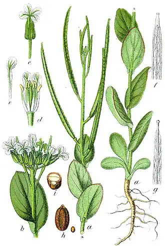 alternativní popis obrázku chybí