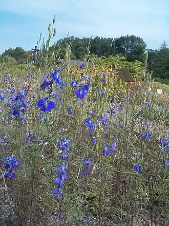 alternativní popis obrázku chybí