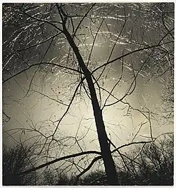 Consuelo Kanaga: Bez Názvu (Mrazivé ráno), Brooklyn Museum