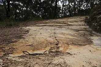 Trestanecká silnice, hora McQuoid, Velká severní silnice, Bucketty, NSW.