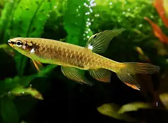 alternativní popis obrázku chybí