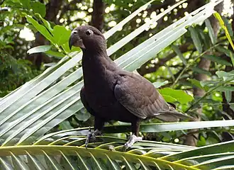 alternativní popis obrázku chybí