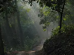 Příroda v Národním parku Jima Corbetta