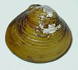 alternativní popis obrázku chybí