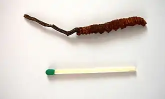 alternativní popis obrázku chybí