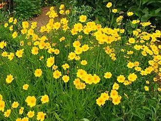 alternativní popis obrázku chybí