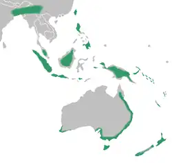 Areál rozšíření