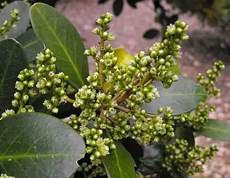 alternativní popis obrázku chybí