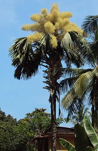 alternativní popis obrázku chybí