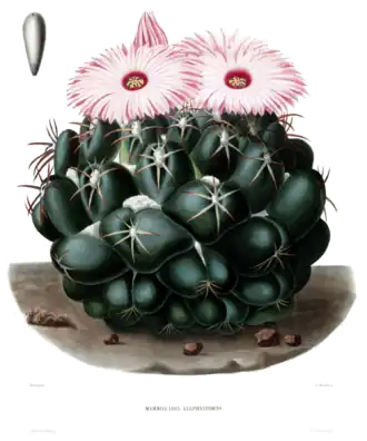 alternativní popis obrázku chybí