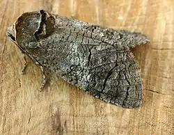 alternativní popis obrázku chybí