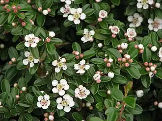 alternativní popis obrázku chybí