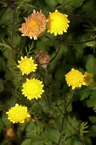 alternativní popis obrázku chybí