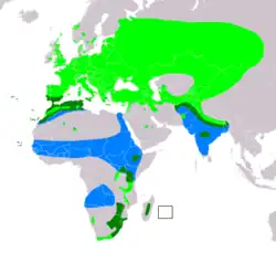 Rozšíření křepelky polní