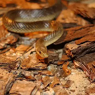 alternativní popis obrázku chybí