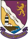 Hrabství Wexford – znak