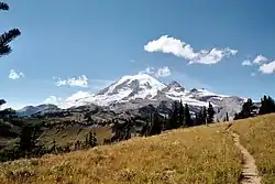 Mount Rainier ze stezky