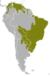 rozšíření maikonga