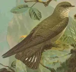 alternativní popis obrázku chybí