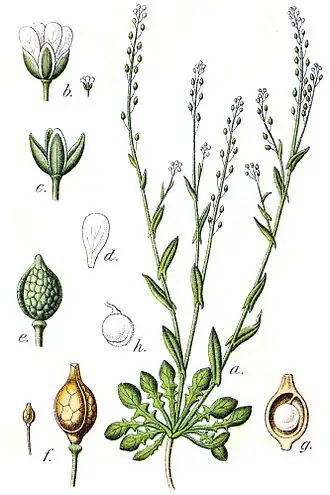 alternativní popis obrázku chybí