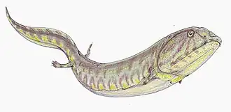 popis obrázku chybí