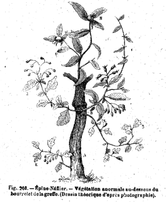 alternativní popis obrázku chybí