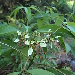 alternativní popis obrázku chybí