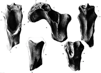 alternativní popis obrázku chybí