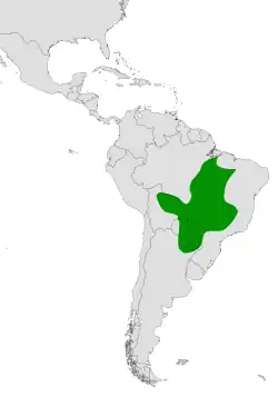 Areál rozšíření