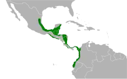 Areál rozšíření