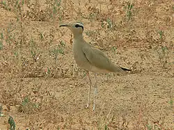 alternativní popis obrázku chybí