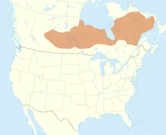 Mapa rozšíření jazyka