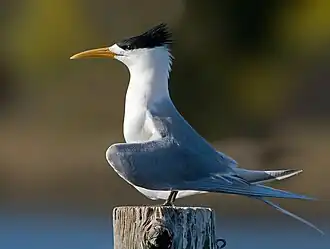 alternativní popis obrázku chybí