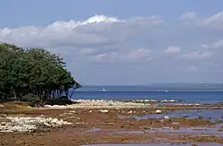 Pobřeží Velikého Brijunu