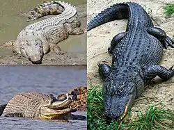 alternativní popis obrázku chybí