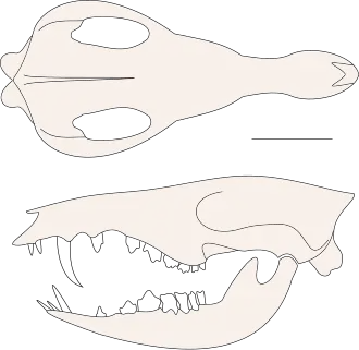 alternativní popis obrázku chybí