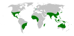 Areál rozšíření