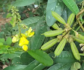 alternativní popis obrázku chybí