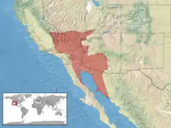 Mapa rozšíření chřestýše rohatého