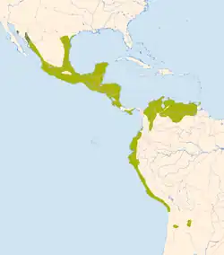 Areál rozšíření