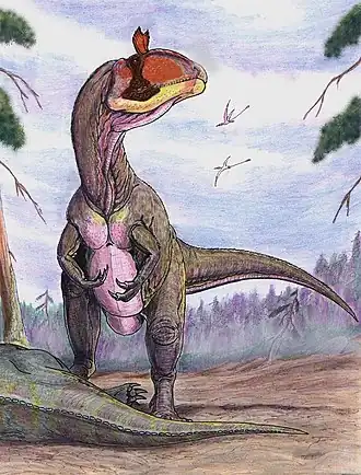 alternativní popis obrázku chybí