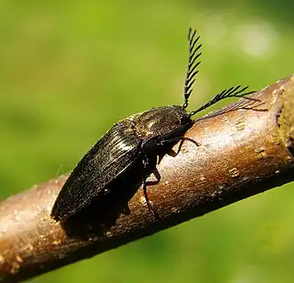 alternativní popis obrázku chybí