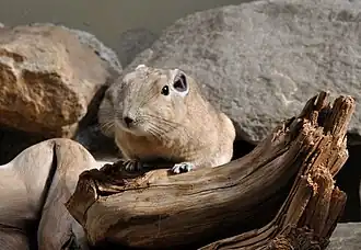 alternativní popis obrázku chybí