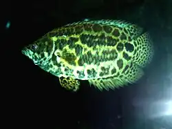 alternativní popis obrázku chybí